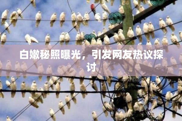 白嫩秘照曝光，引发网友热议探讨
