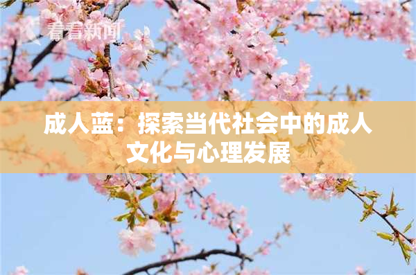 成人蓝：探索当代社会中的成人文化与心理发展