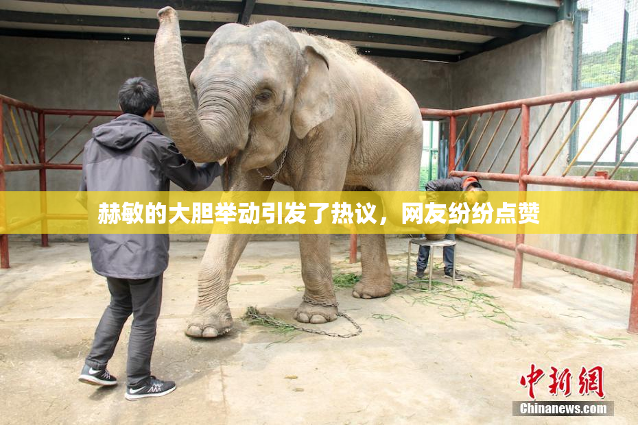 赫敏的大胆举动引发了热议，网友纷纷点赞