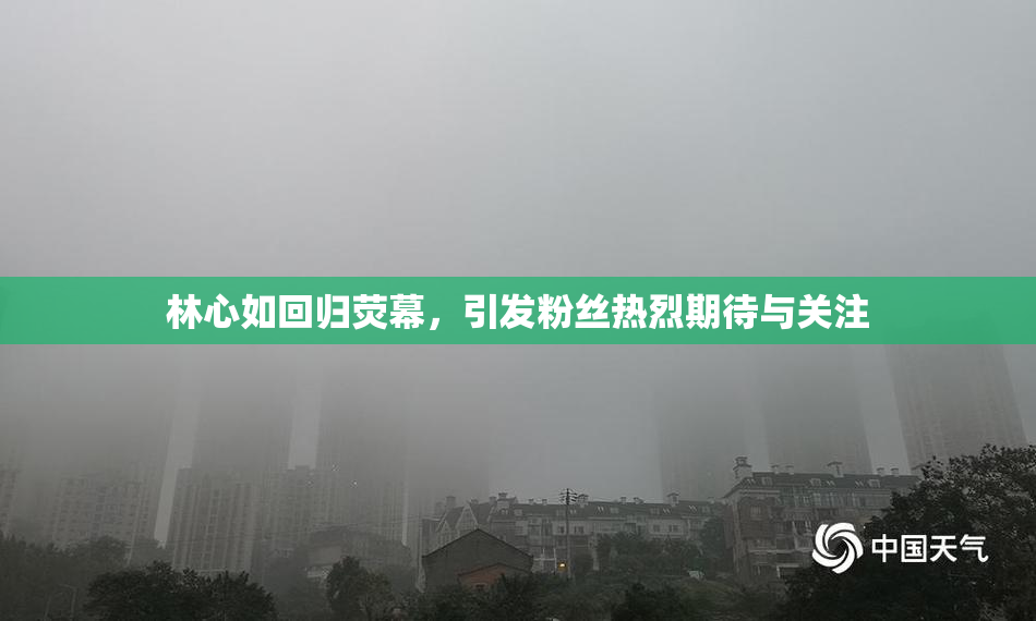 林心如回归荧幕，引发粉丝热烈期待与关注