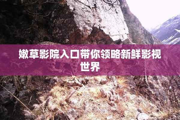 嫩草影院入口带你领略新鲜影视世界