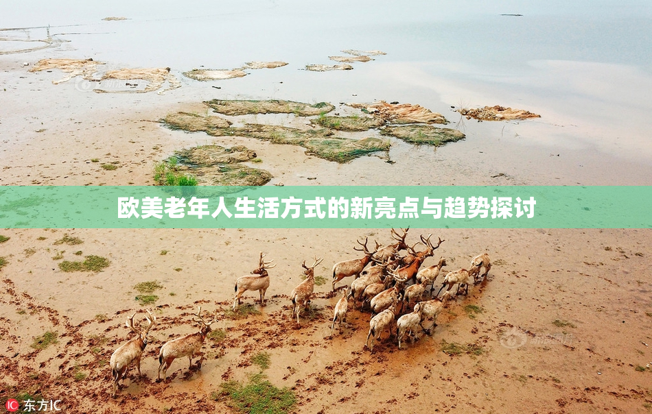 欧美老年人生活方式的新亮点与趋势探讨
