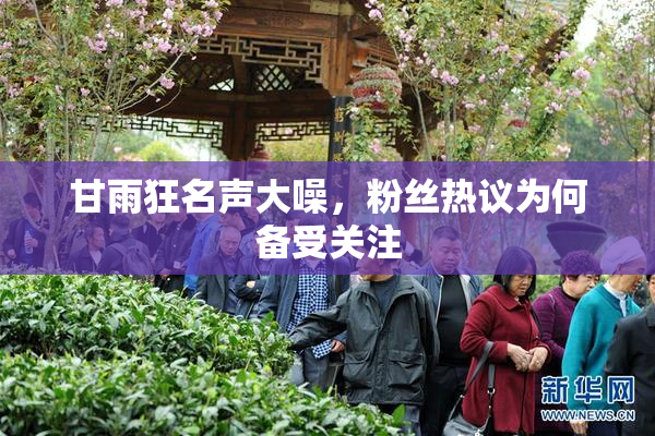 甘雨狂名声大噪，粉丝热议为何备受关注