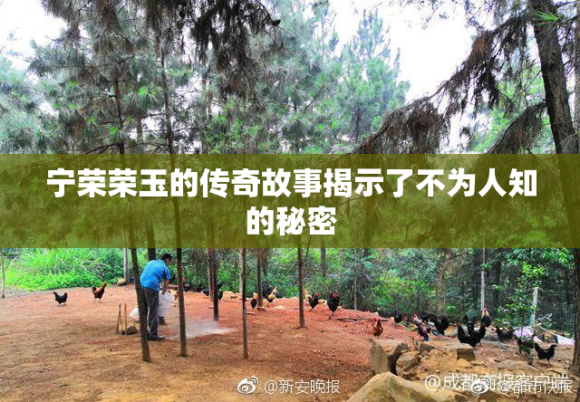 宁荣荣玉的传奇故事揭示了不为人知的秘密
