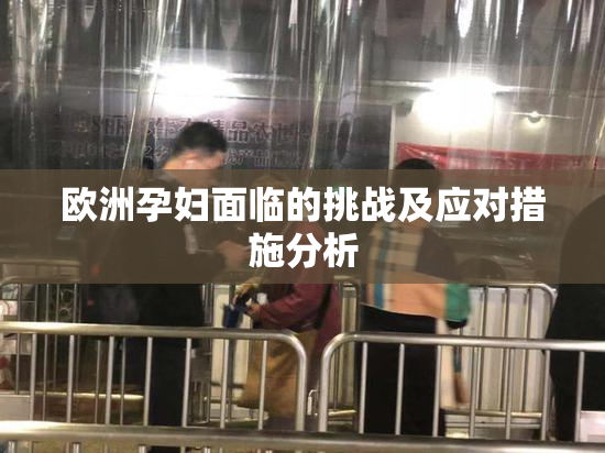 欧洲孕妇面临的挑战及应对措施分析