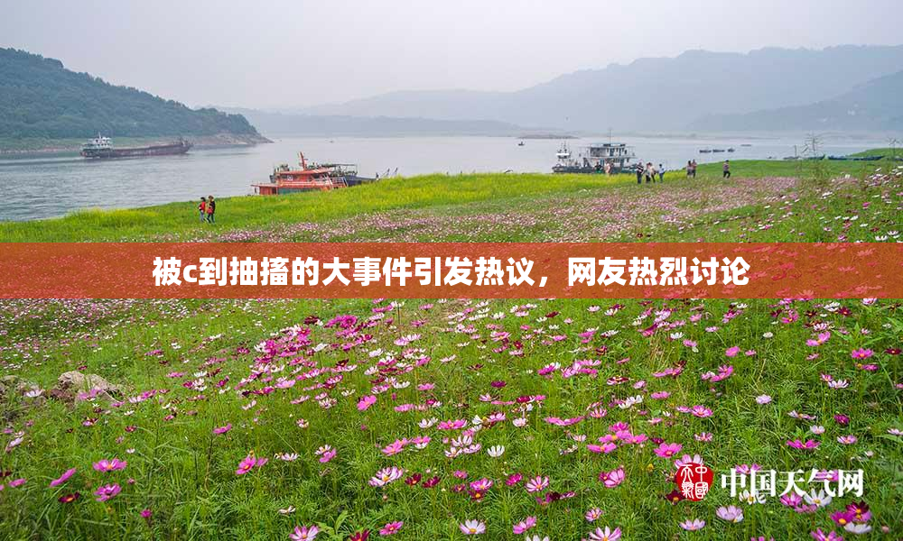 被c到抽搐的大事件引发热议，网友热烈讨论
