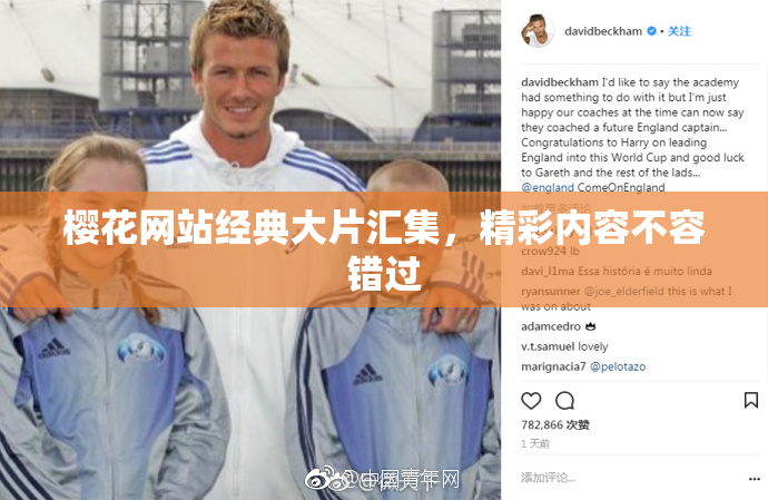 樱花网站经典大片汇集，精彩内容不容错过