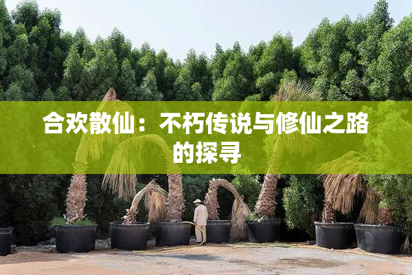 合欢散仙：不朽传说与修仙之路的探寻