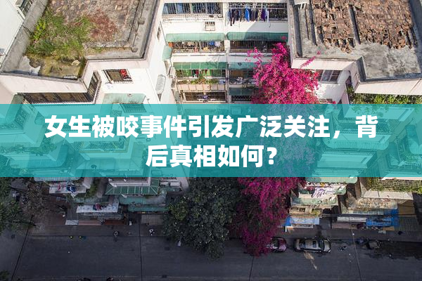 女生被咬事件引发广泛关注，背后真相如何？