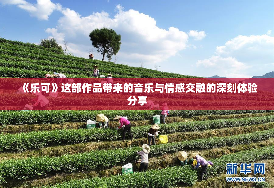 《乐可》这部作品带来的音乐与情感交融的深刻体验分享
