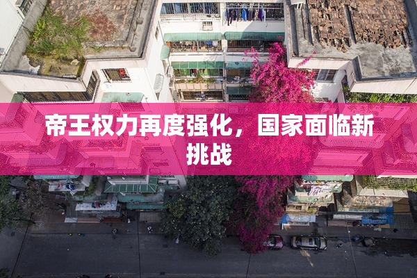 帝王权力再度强化，国家面临新挑战