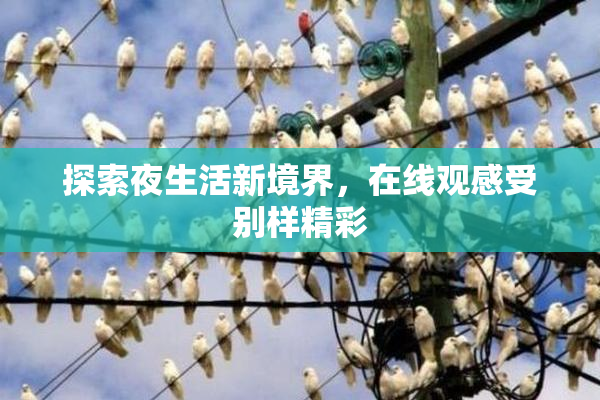 探索夜生活新境界，在线观感受别样精彩