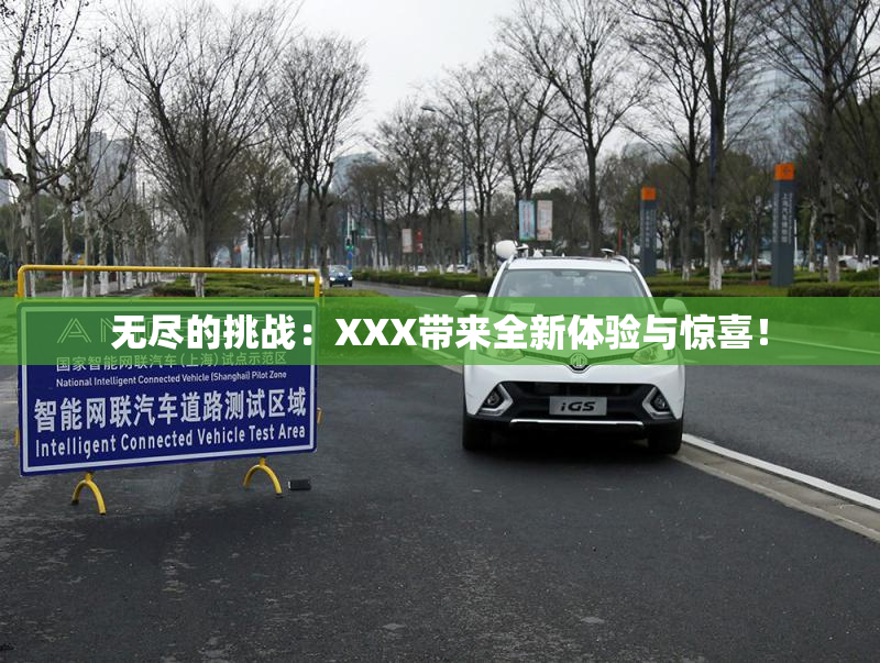 无尽的挑战：XXX带来全新体验与惊喜！