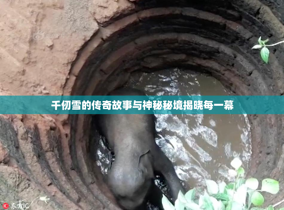 千仞雪的传奇故事与神秘秘境揭晓每一幕