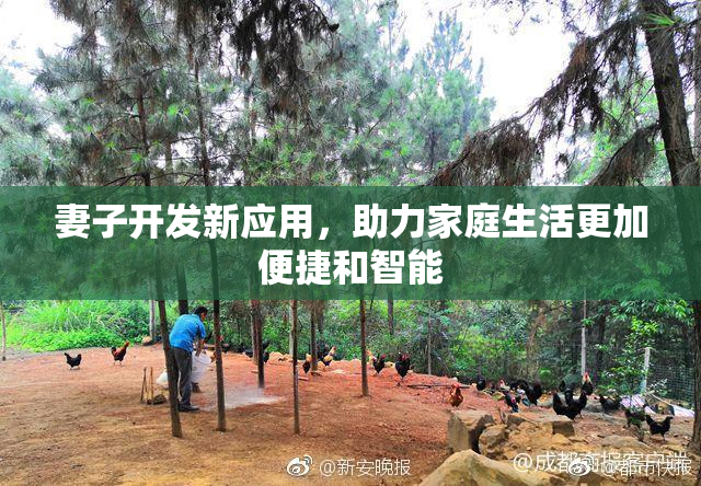 妻子开发新应用，助力家庭生活更加便捷和智能