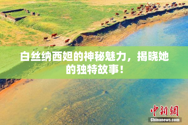 白丝纳西妲的神秘魅力，揭晓她的独特故事！