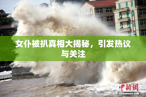 女仆被扒真相大揭秘，引发热议与关注