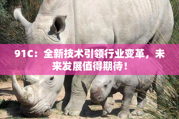 91C：全新技术引领行业变革，未来发展值得期待！