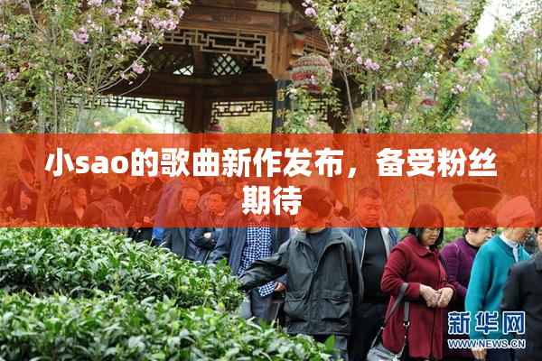 小sao的歌曲新作发布，备受粉丝期待