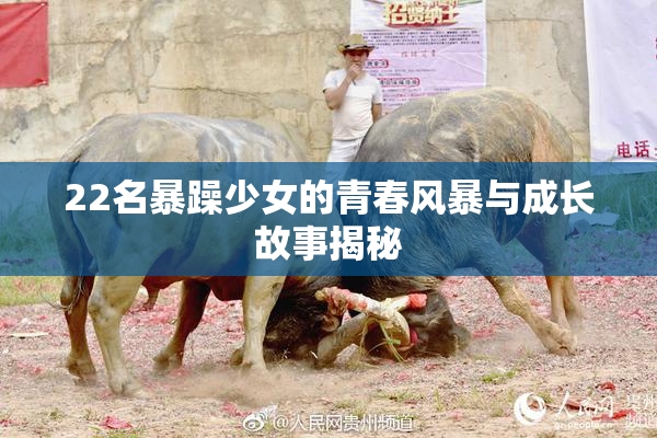 22名暴躁少女的青春风暴与成长故事揭秘