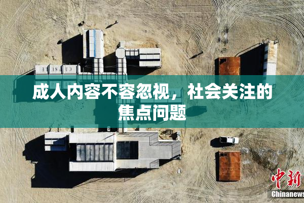 成人内容不容忽视，社会关注的焦点问题