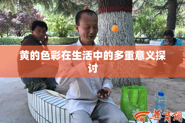黄的色彩在生活中的多重意义探讨