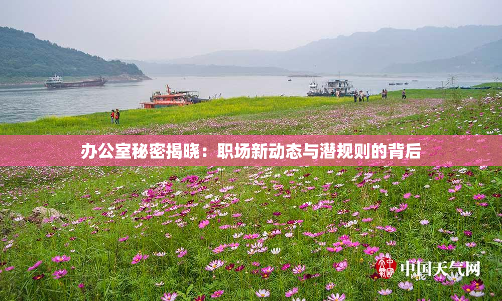 办公室秘密揭晓：职场新动态与潜规则的背后