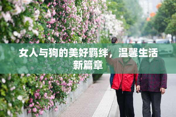 女人与狗的美好羁绊，温馨生活新篇章