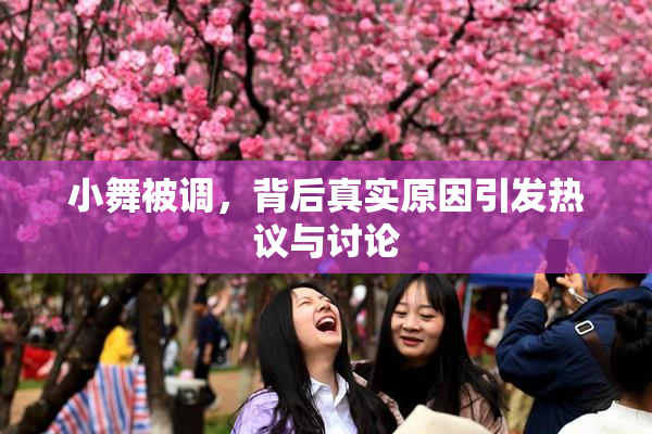 小舞被调，背后真实原因引发热议与讨论