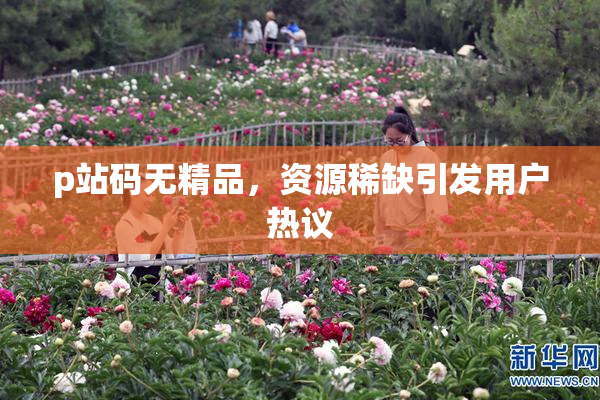 p站码无精品，资源稀缺引发用户热议