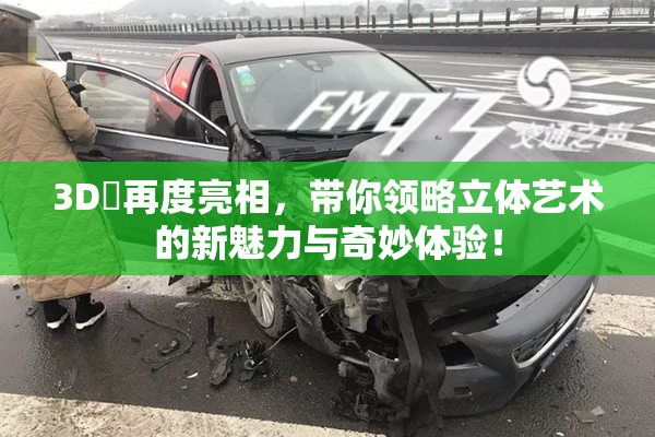 3D姉再度亮相，带你领略立体艺术的新魅力与奇妙体验！