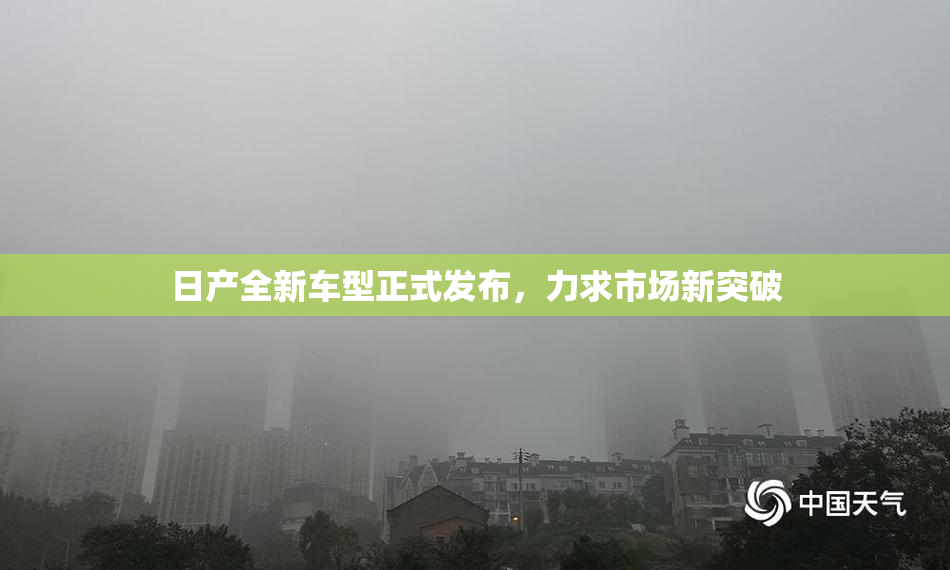 日产全新车型正式发布，力求市场新突破
