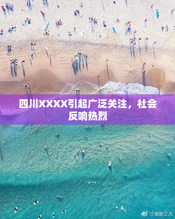 四川XXXX引起广泛关注，社会反响热烈
