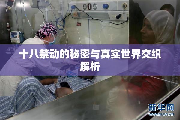 十八禁动的秘密与真实世界交织解析