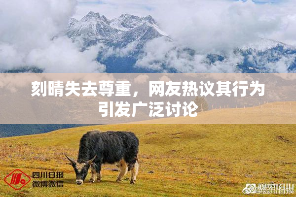 刻晴失去尊重，网友热议其行为引发广泛讨论