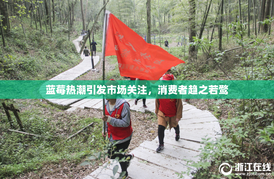 蓝莓热潮引发市场关注，消费者趋之若鹜