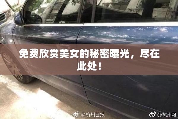 免费欣赏美女的秘密曝光，尽在此处！