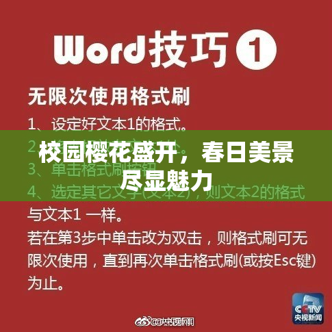 校园樱花盛开，春日美景尽显魅力
