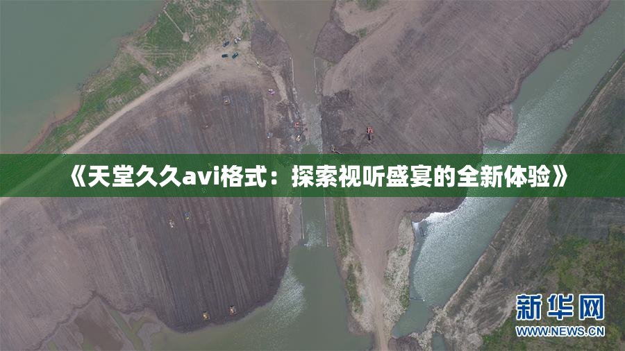 《天堂久久avi格式：探索视听盛宴的全新体验》