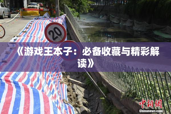 《游戏王本子：必备收藏与精彩解读》