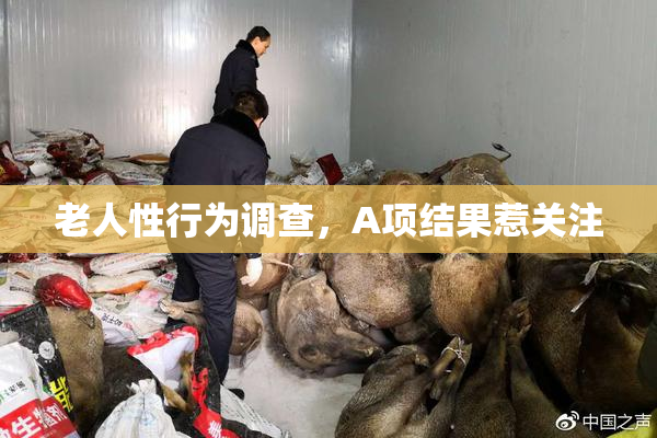 老人性行为调查，A项结果惹关注