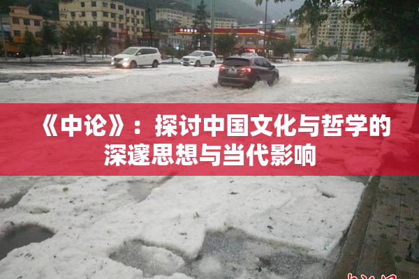 《中论》：探讨中国文化与哲学的深邃思想与当代影响