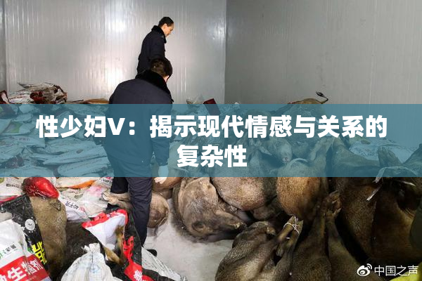 性少妇V：揭示现代情感与关系的复杂性