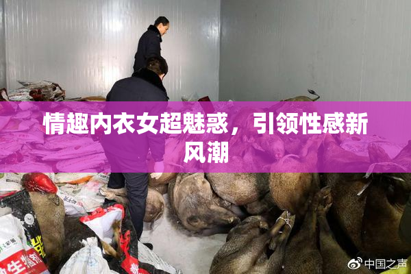 情趣内衣女超魅惑，引领性感新风潮