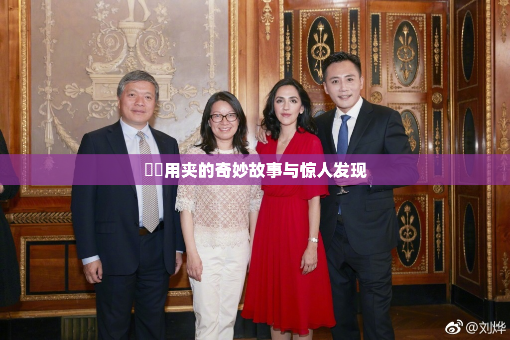 妺妺用夹的奇妙故事与惊人发现