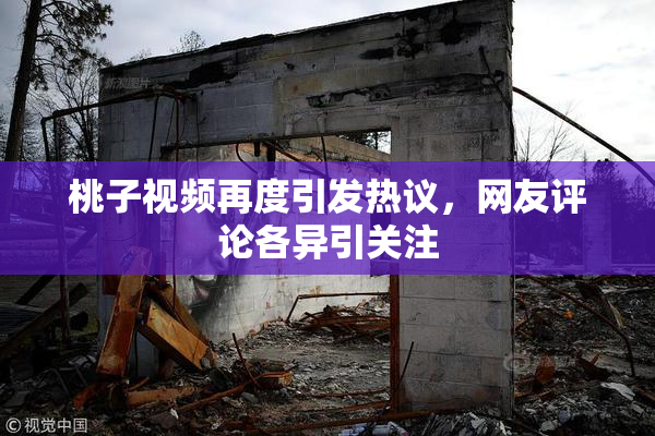 桃子视频再度引发热议，网友评论各异引关注