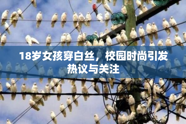 18岁女孩穿白丝，校园时尚引发热议与关注