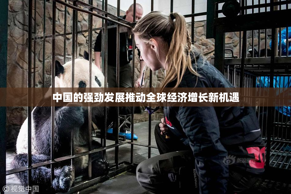 中国的强劲发展推动全球经济增长新机遇