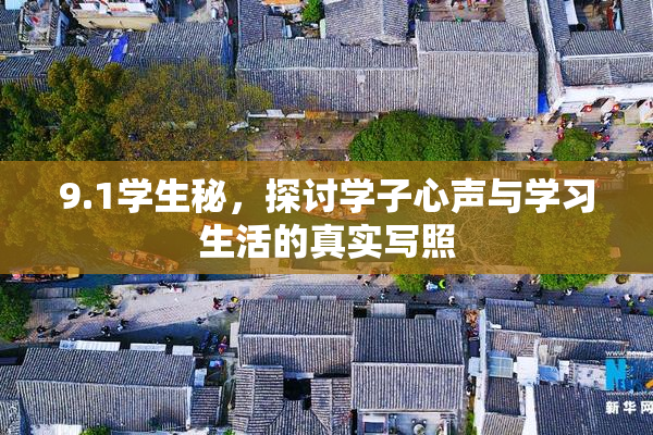 9.1学生秘，探讨学子心声与学习生活的真实写照