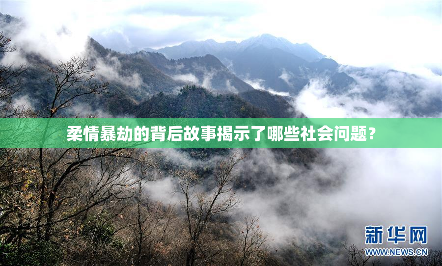 柔情暴劫的背后故事揭示了哪些社会问题？